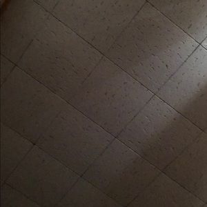 Meet your Posher, Jasmin